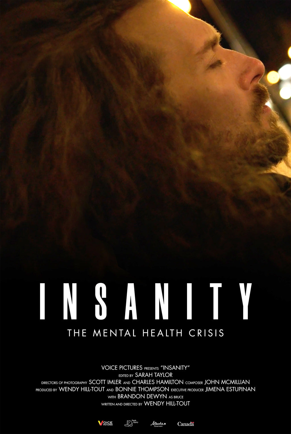 Insanity - The Mental Health Crisis